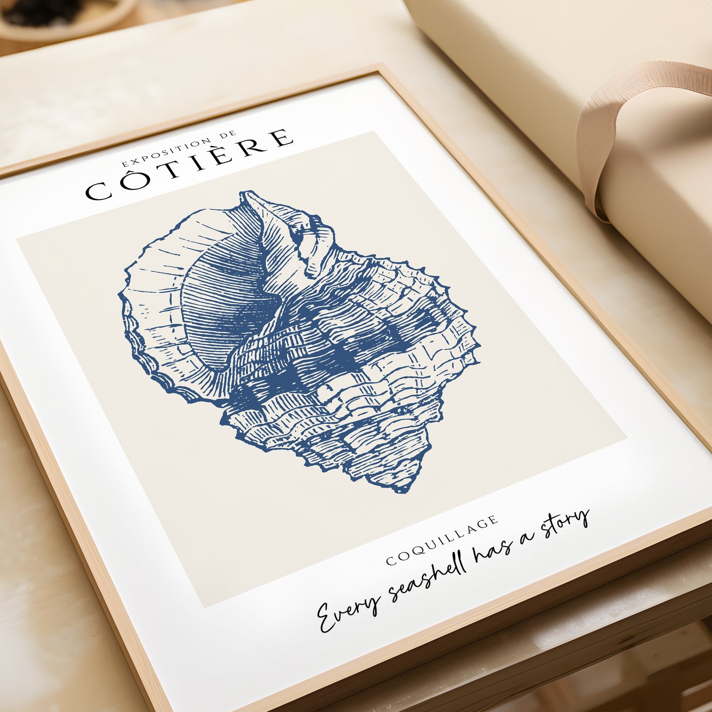Côtière - Coquillage