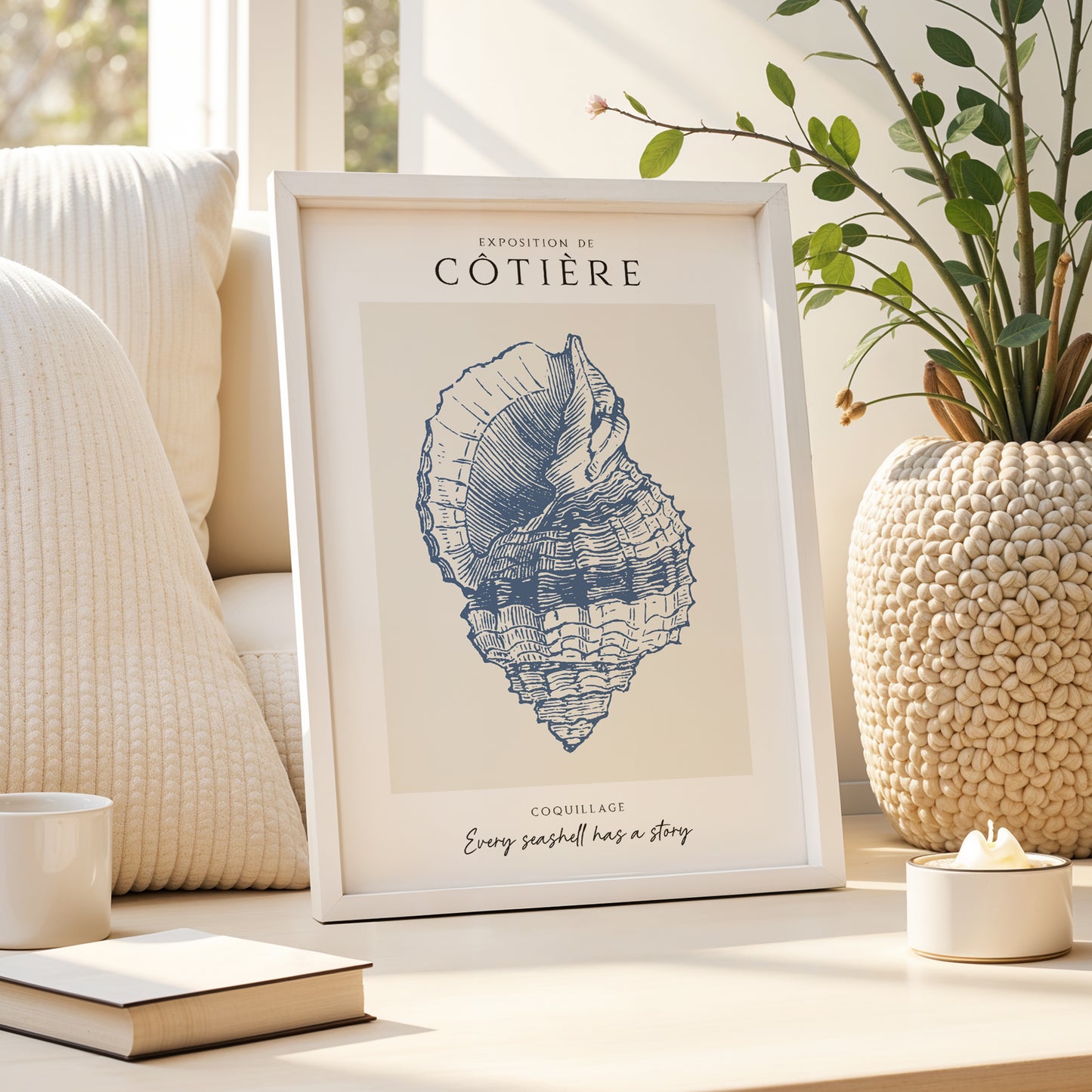 Côtière - Coquillage