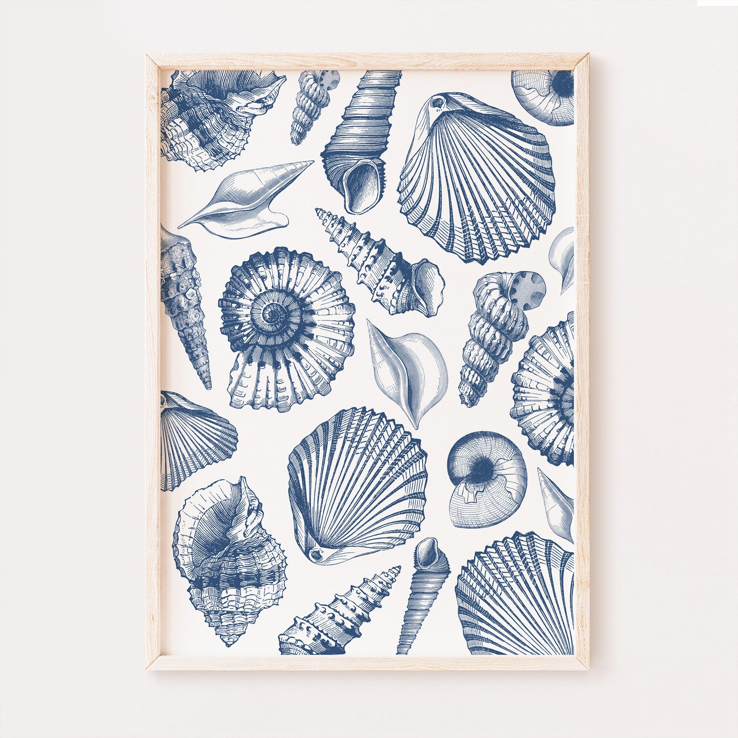 A collage featuring a collection of blue vintage seashells delicately placed to form a beautiful beach house wall art print.
The seashells are very detailed and set on a white background.