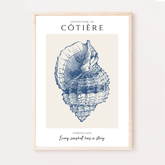 Côtière - Coquillage