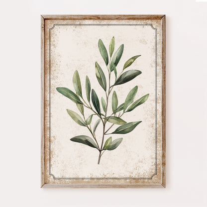 Framed botanical wall art featuring a green leafy branch illustration on a distressed cream background, enclosed in a rustic light wood frame and shown against a plain light wall.