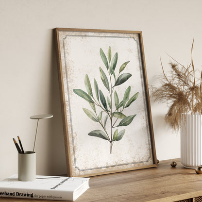 Vintage Olive Branch Print