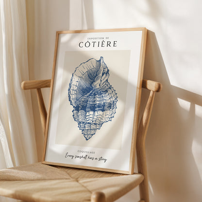 Côtière - Coquillage