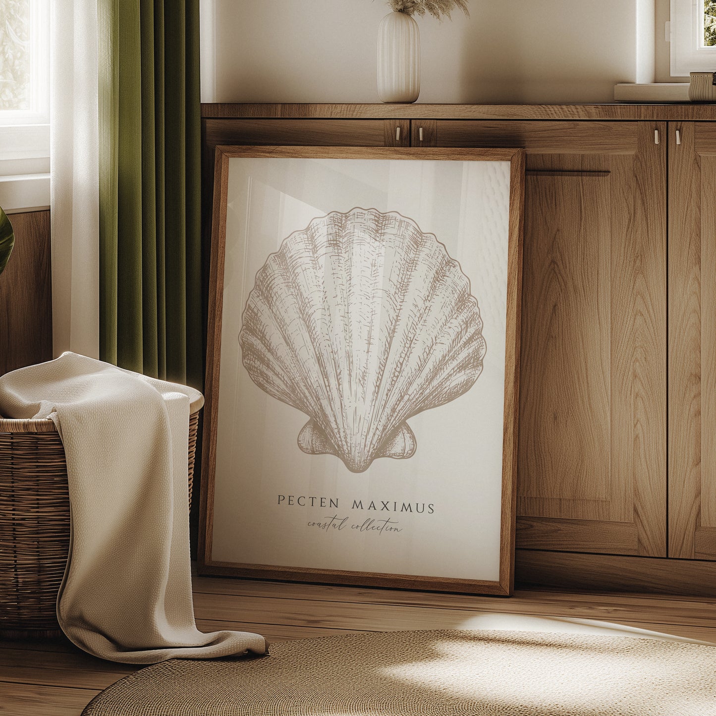 Pecten Maximus | Coastal Seashell Print