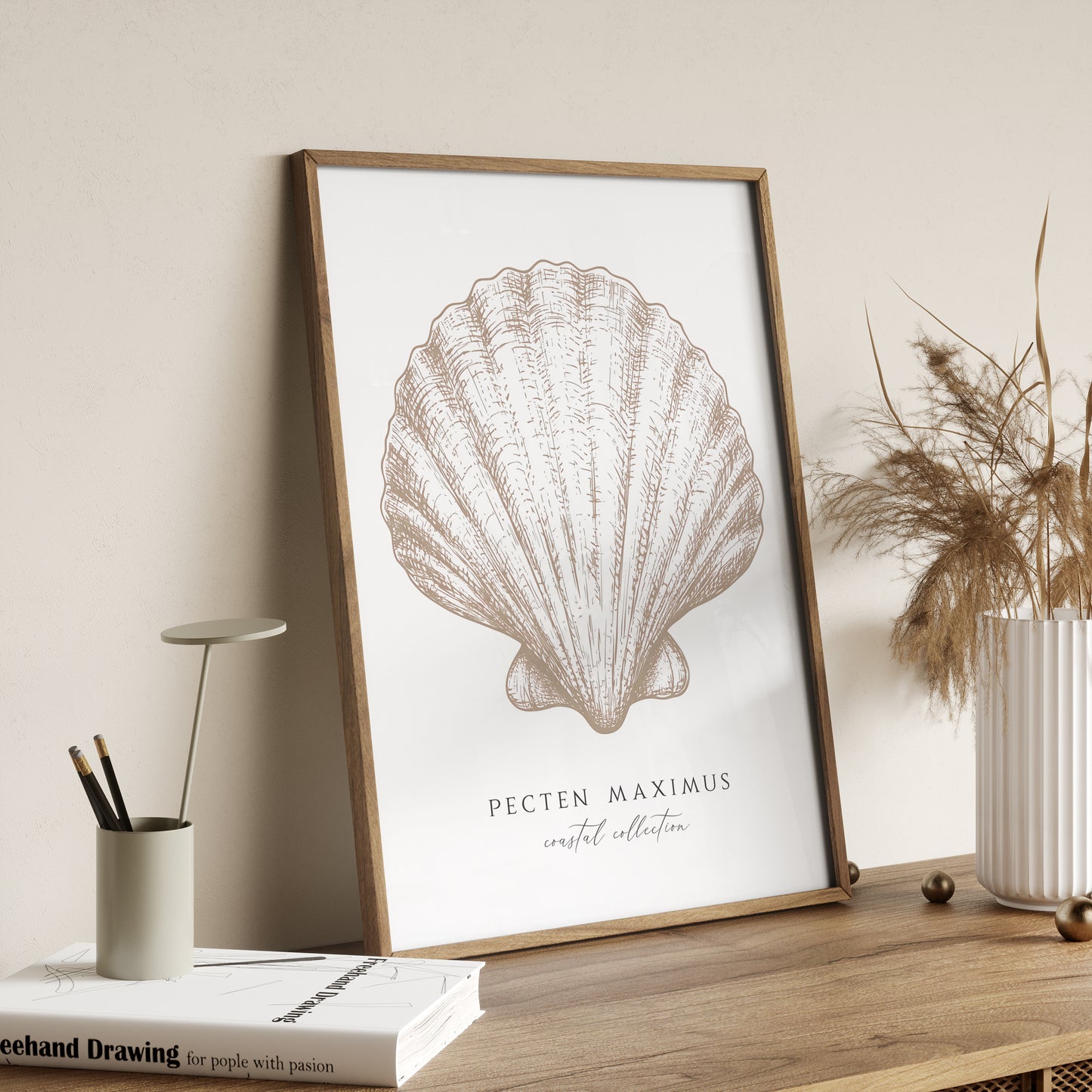Pecten Maximus | Coastal Seashell Print