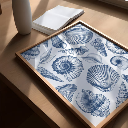 Vintage Seashell Collage