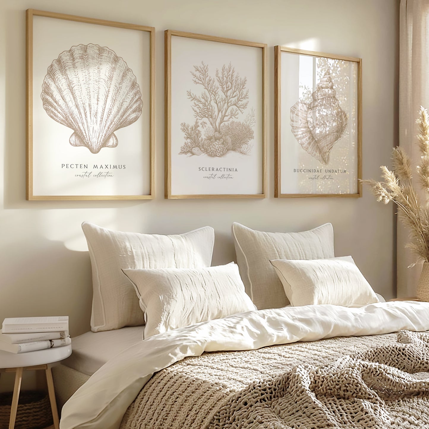 Coastal Collection | Set of 3 Neutral Seashell Prints