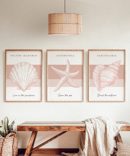 Three framed beachy prints of seashells and a starfish in soft blush pink colours on a white background.
The quotes read 'Live in the sunshine', 'Swim the sea' and 'Drink the wild air'.