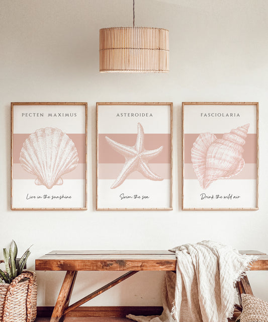 Three framed beachy prints of seashells and a starfish in soft blush pink colours on a white background.
The quotes read 'Live in the sunshine', 'Swim the sea' and 'Drink the wild air'.