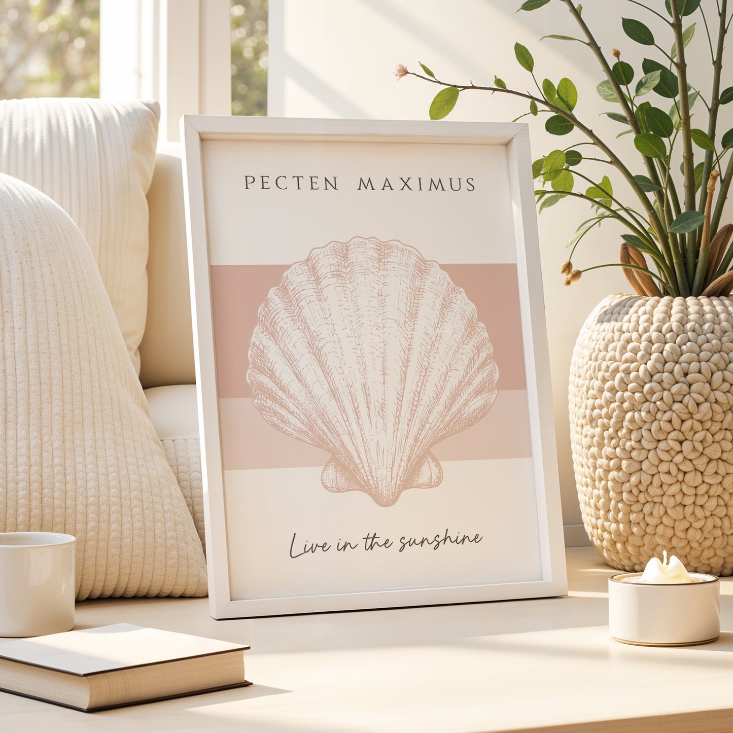 Set of 3 Seashell Collection | Pink