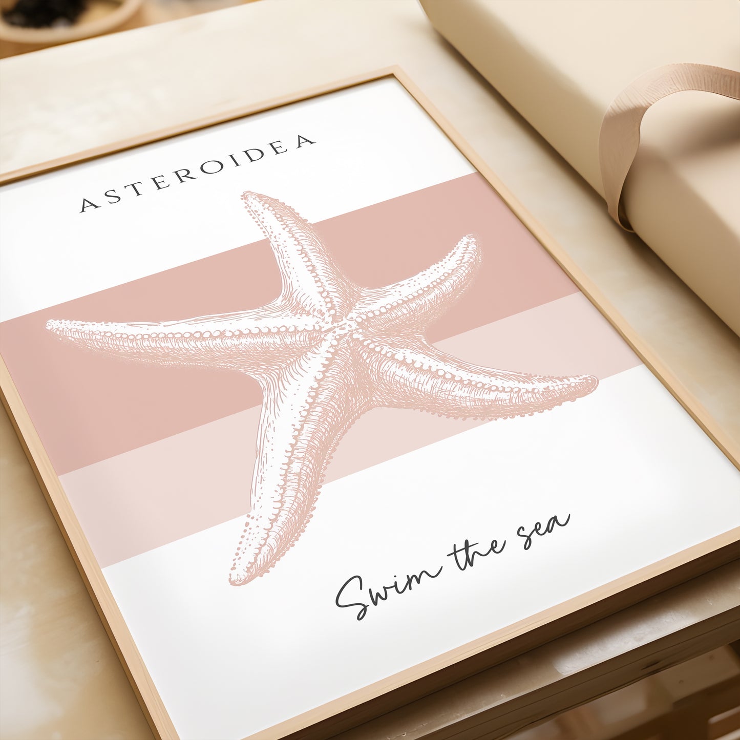 Set of 3 Seashell Collection | Pink
