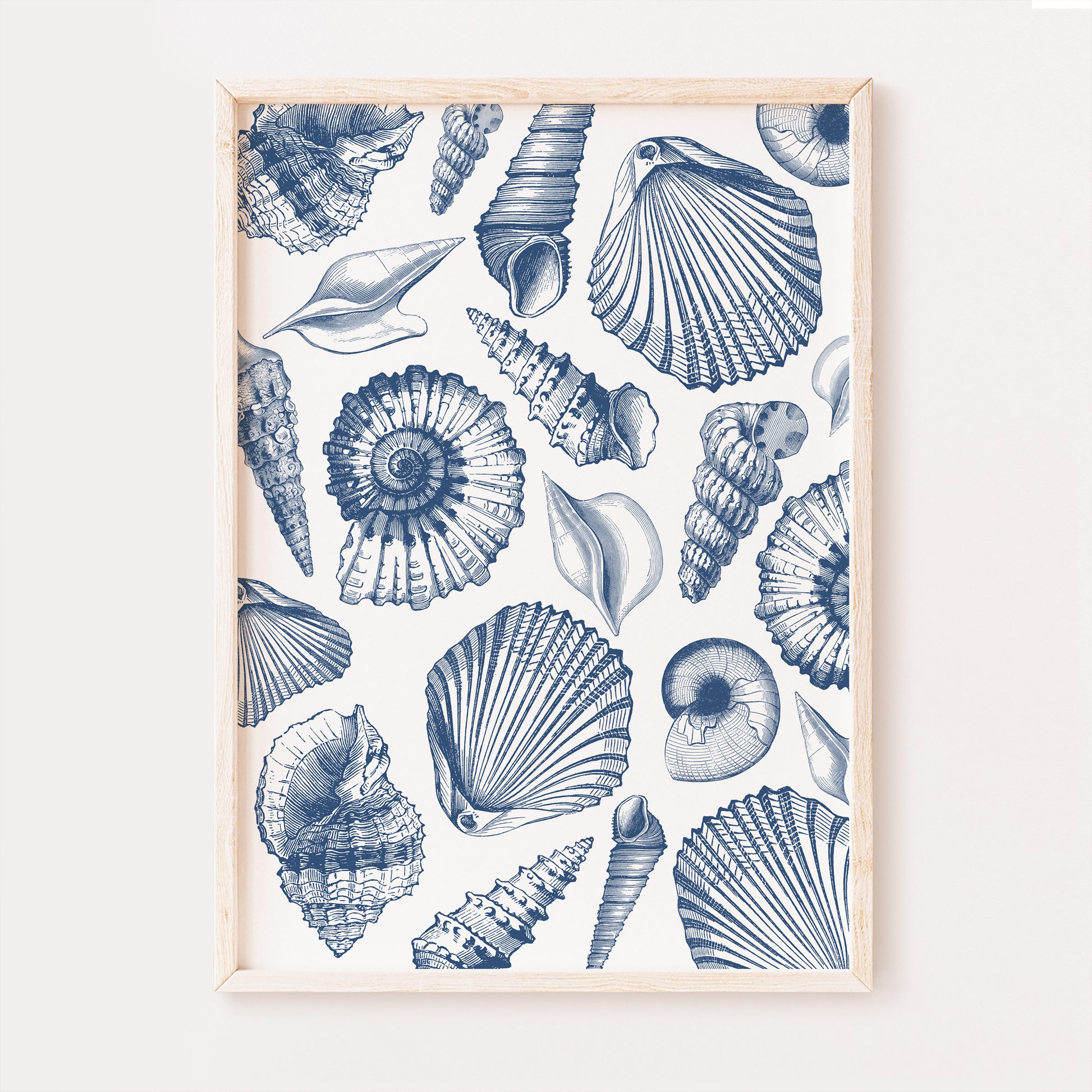 A collage featuring a collection of blue vintage seashells delicately placed to form a beautiful beach house wall art print.
The seashells are very detailed and set on a white background.