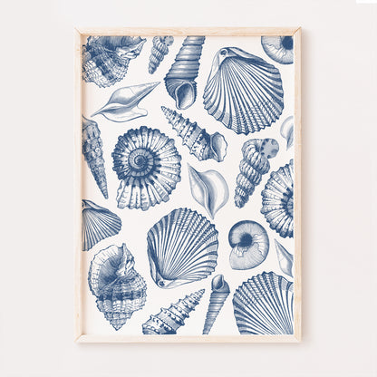 A collage featuring a collection of blue vintage seashells delicately placed to form a beautiful beach house wall art print.
The seashells are very detailed and set on a white background.