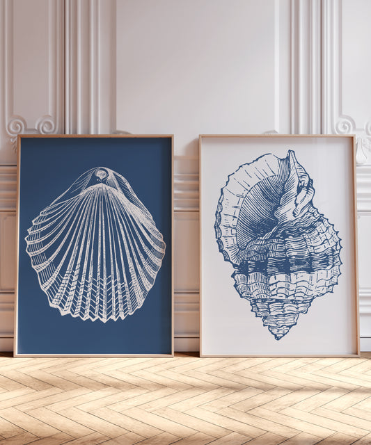 A set of 2 coastal art prints featuring 2 seashells in a vintage style.
The first f the two prints illustrates the iconic round seashell in white set on a blue background. The second of the two prints illustrates a spiral seashell in blue set on a light pale blue background.
